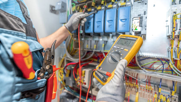 Best Electric Panel Repair  in Pleasanton, TX